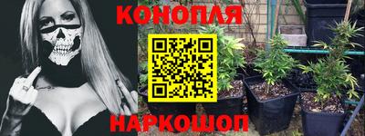сатива Канаш